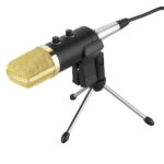 BM-100FX Condenser Studio Microphone - Image 2