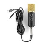 BM-100FX Condenser Studio Microphone - Image 3