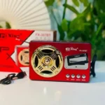 Pu Xing PX-366BT Portable Bluetooth FM Radio with LED Light